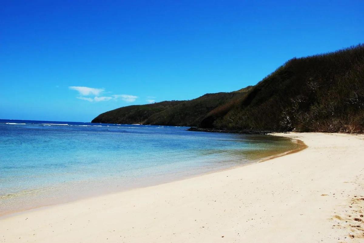 White Sandy Beach-Best Manta Snorkeling Tethi Eksteriør bilde